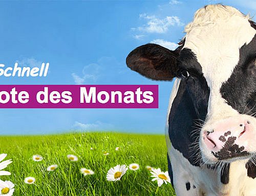 Aktion EDNA – 10% Aktionsrabatt im März